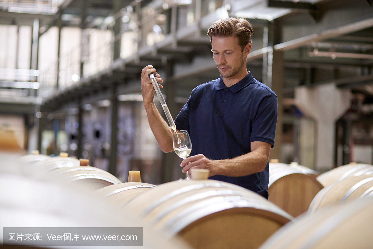 一個(gè)年輕人在葡萄酒工廠的倉庫里測試葡萄酒