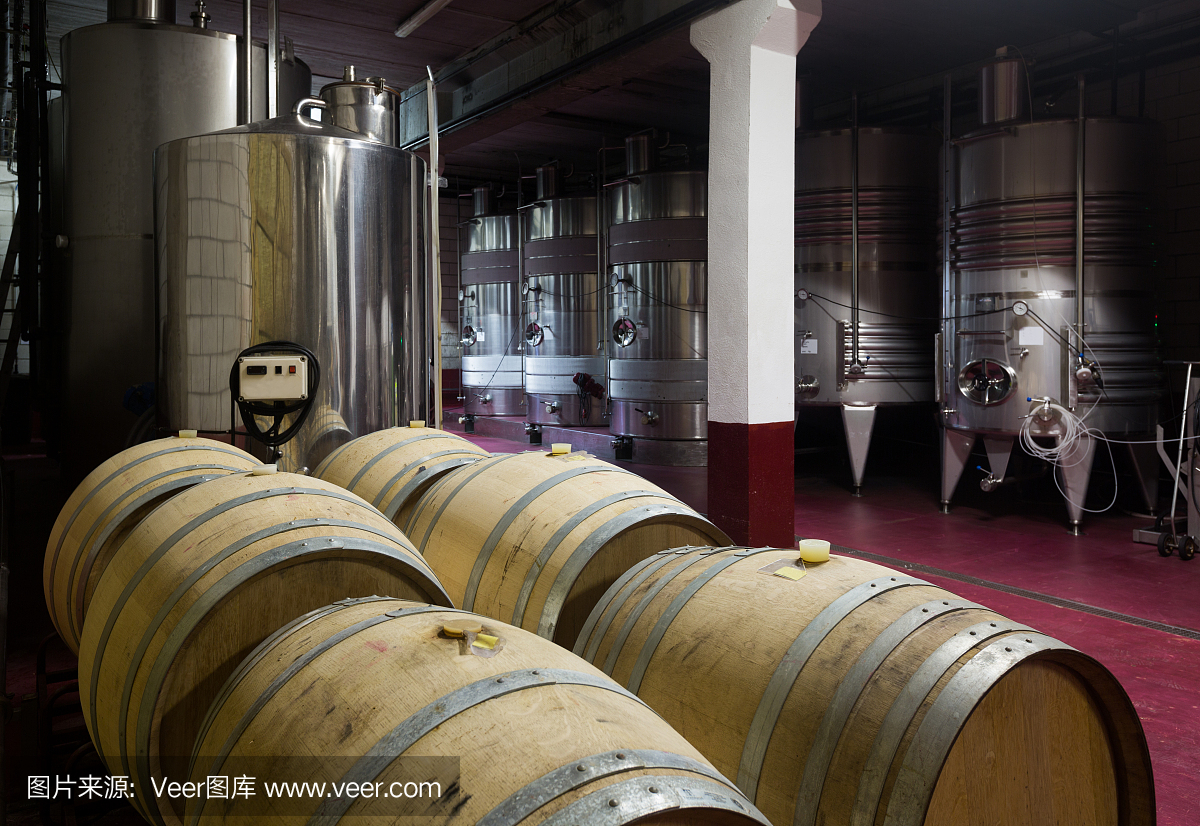 酒窖,木桶和鋼桶