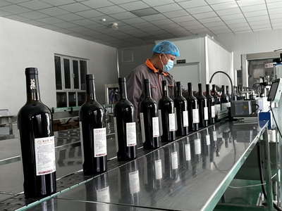 小樹莓變身大產業 伊寧市推動特色林果業向優質高效發展